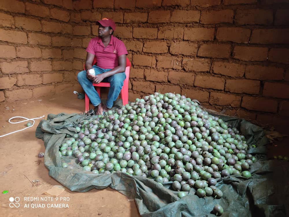 Annual Farmer's Conference